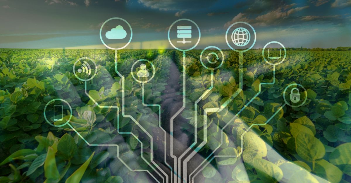 IoT Agriculture: Transforming the Field with Smart Technology